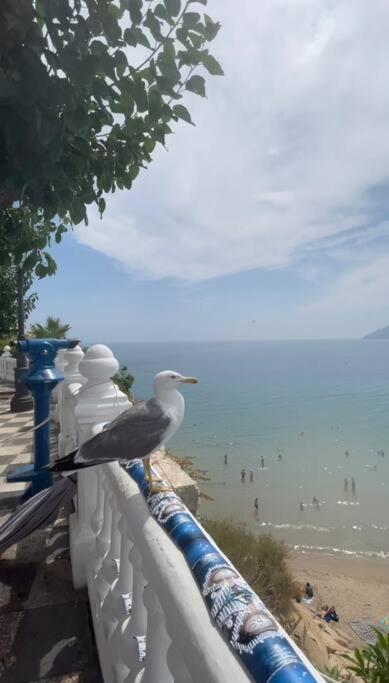 Apartamento Centrico Y En Primera Linea De Playa Lägenhet Benidorm Exteriör bild