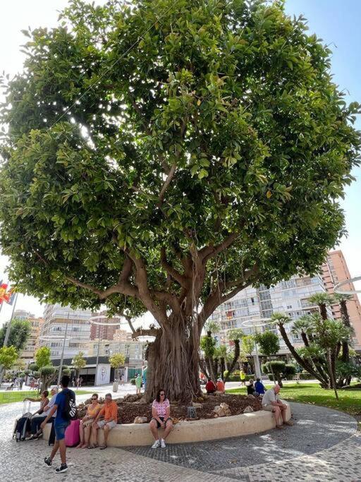 Apartamento Centrico Y En Primera Linea De Playa Lägenhet Benidorm Exteriör bild